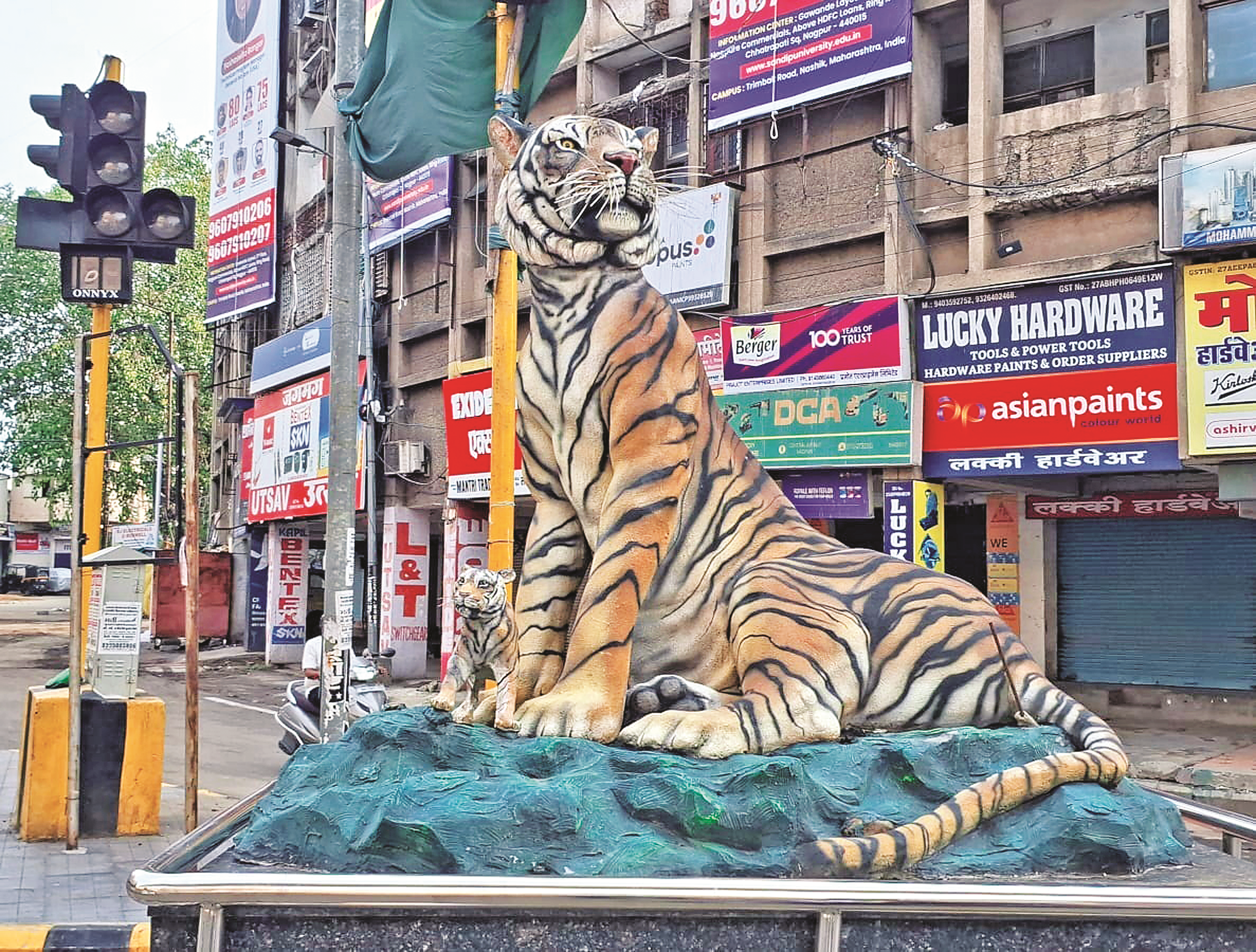 नागपुर शहर के सीए रोड से बाघिन के दो शावक हो गए चोरी नागपुर शहर के सीए रोड से बाघिन के दो शावक हो गए चोरी