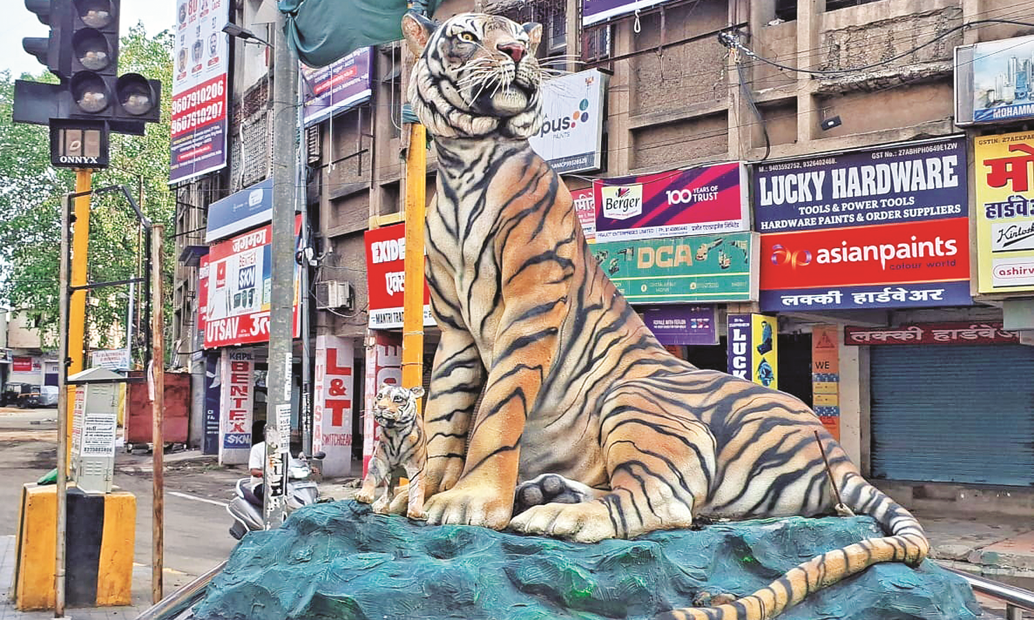नागपुर शहर के सीए रोड से बाघिन के दो शावक हो गए चोरी
