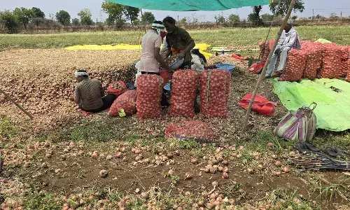 आंधी-बारिश का कहर , बिजली गिरने से 3 लोगों की मौत, 41 मवेशी मारे गए