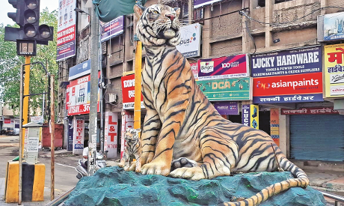 नागपुर शहर के सीए रोड से बाघिन के दो शावक हो गए चोरी