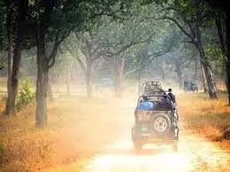 महाराष्ट्र में पर्यटकों को खूब भा रही जंगलों की सैर , लगातार बढ़े पर्यटक महाराष्ट्र में पर्यटकों को खूब भा रही जंगलों की सैर , लगातार बढ़े पर्यटक