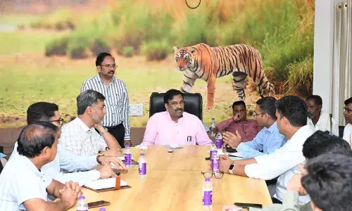बाघों के हमलों को नियंत्रित करने कार्रवाई करें: मुनगंटीवार