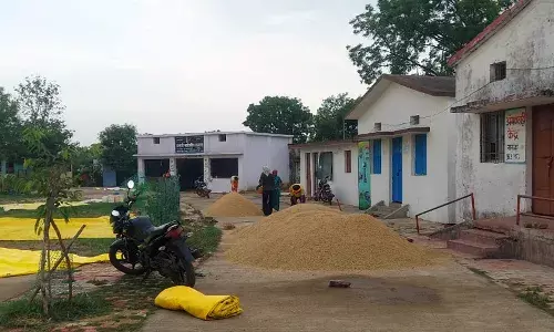 गोंदिया में 50 हजार हेक्टेयर की फसल बारिश ने की चौपट, लेकिन जलाशयों को नहीं भर पाई
