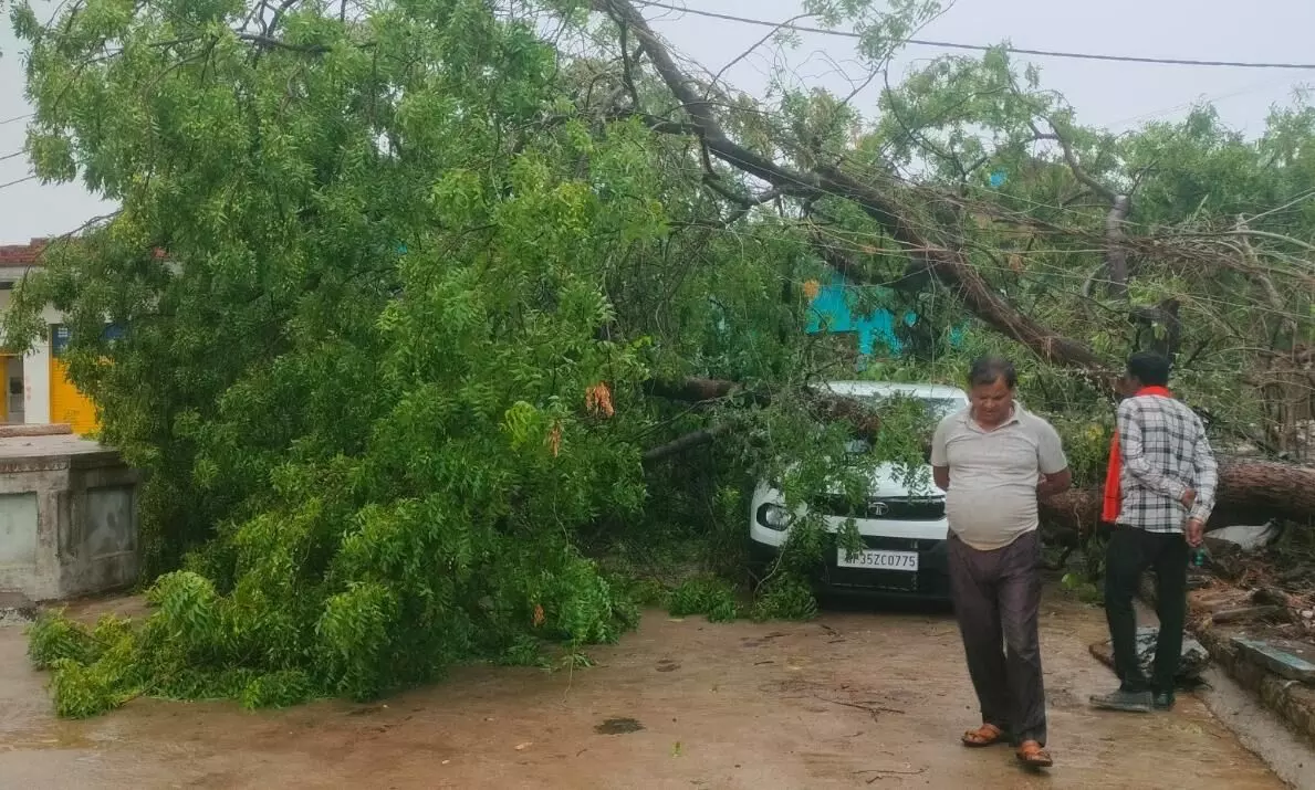 तेज आंधी व बारिश से नई कार चकनाचूर, बाल-बाल बचा वाहन स्वामी तेज आंधी व बारिश से नई कार चकनाचूर, बाल-बाल बचा वाहन स्वामी