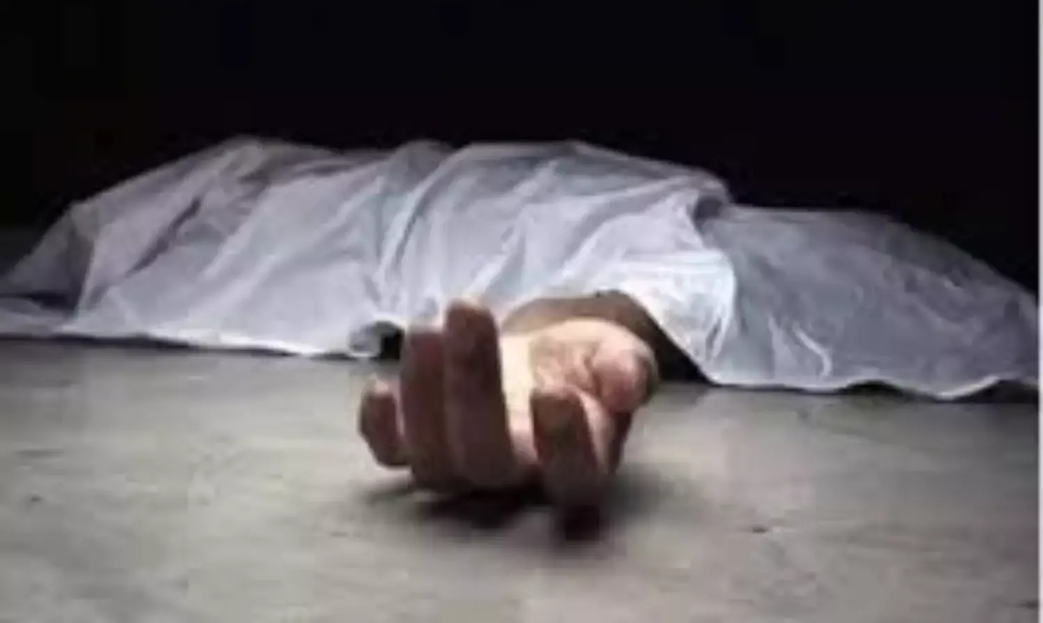 तेज रफ्तार कार खेत में पलटी, सरपंच की मौत, बेटा घायल
