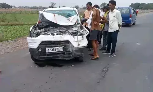 अमानगंज बायपास में भीषण सड़क हादसा, नशे में धुत ड्रायवर ने ली दो भैंसों की जान