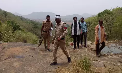 ग्राम झलाई में बाघ ने किया भैंस का शिकार