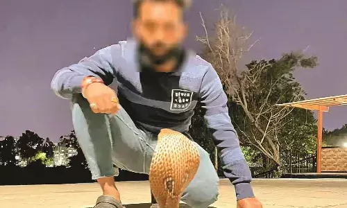 न ट्रेनिंग, न उपाधि, अपनी ही जान से खिलवाड़ कर रहे स्वयंभू सर्प मित्र