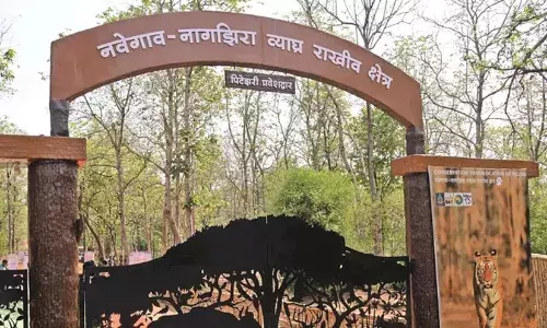 नवेगांव-नागझिरा परियोजना: ईएसजेड सीमा रेखा कम होगी, अभी गोंदिया और भंडारा के 216 गांव हैं जद में