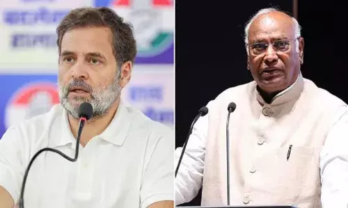 कोई भी जश्न इंसान की जान से बढ़कर नहीं.., आरसीबी विक्ट्री परेड में हुई भगदड़ मामले पर बोले राहुल गांधी