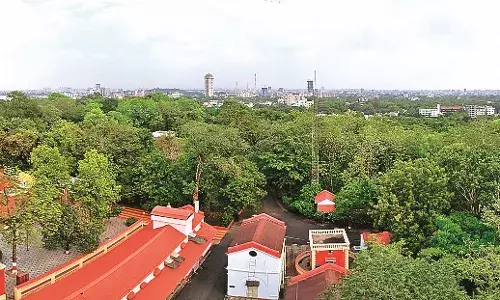 100 एकड़ धरती पर उतरा स्वर्ग, 1.25 लाख पेड़ों से सजा है राजभवन