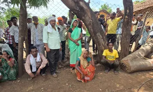 हड्डियां और खोपड़ी के अवशेष ही मिले, बाघ ने पूरा शरीर किया छलनी