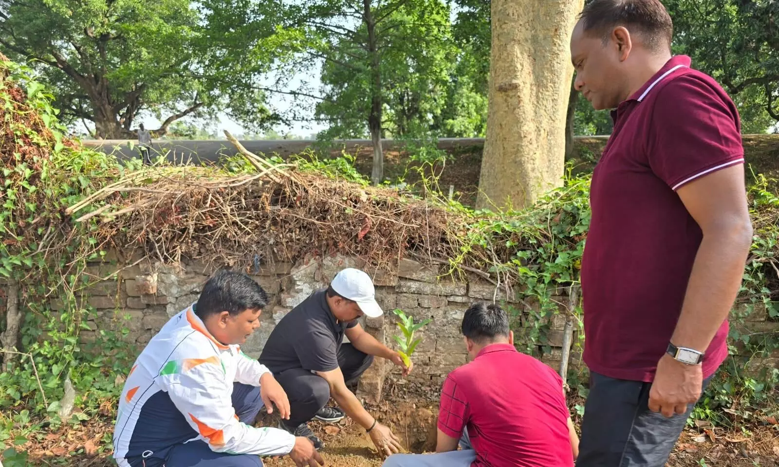 आबकारी विभाग द्वारा पर्यावरण दिवस पर पौधारोपण किया गया आबकारी विभाग द्वारा पर्यावरण दिवस पर पौधारोपण किया गया