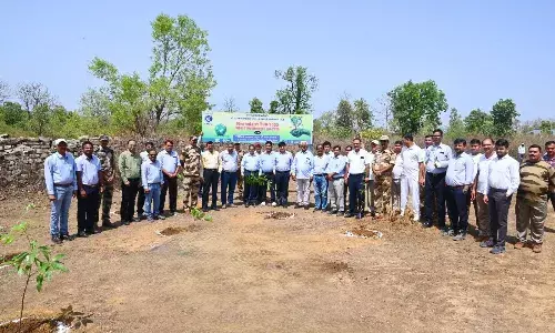 एनएमडीसी परियोजना मझगवां में मनाया गया विश्व पर्यावरण दिवस