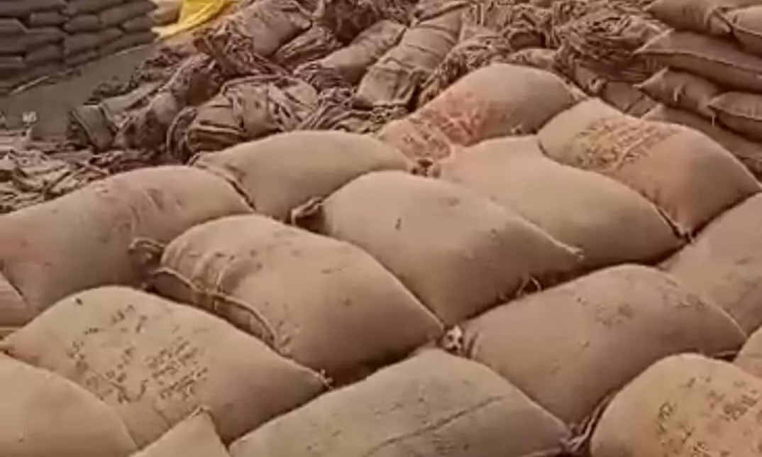 धान खरीदी के 4 माह बाद देख रहे सर्वेयरों की योग्यता धान खरीदी के 4 माह बाद देख रहे सर्वेयरों की योग्यता