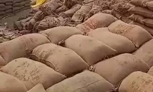 धान खरीदी के 4 माह बाद देख रहे सर्वेयरों की योग्यता