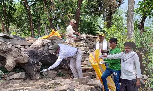 प्लास्टिक कचरे की सफाई व वृक्षारोपण कर मनाया गया पर्यावरण दिवस, जरधोवा के झिन्ना धाम व रानीपुर में आयोजित किया गया कार्यक्रम