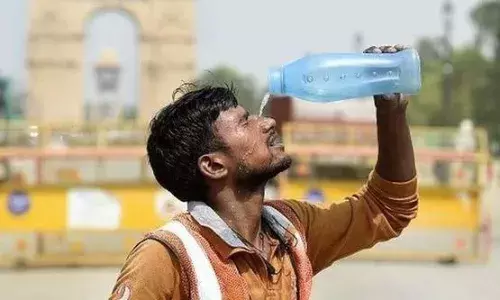 दिल्ली में भीषण गर्मी का प्रकोप रहेगा जारी, 44 डिग्री तक पहुंचेगा पारा, येलो अलर्ट जारी, IMD ने जारी किया ताजा अपडेट