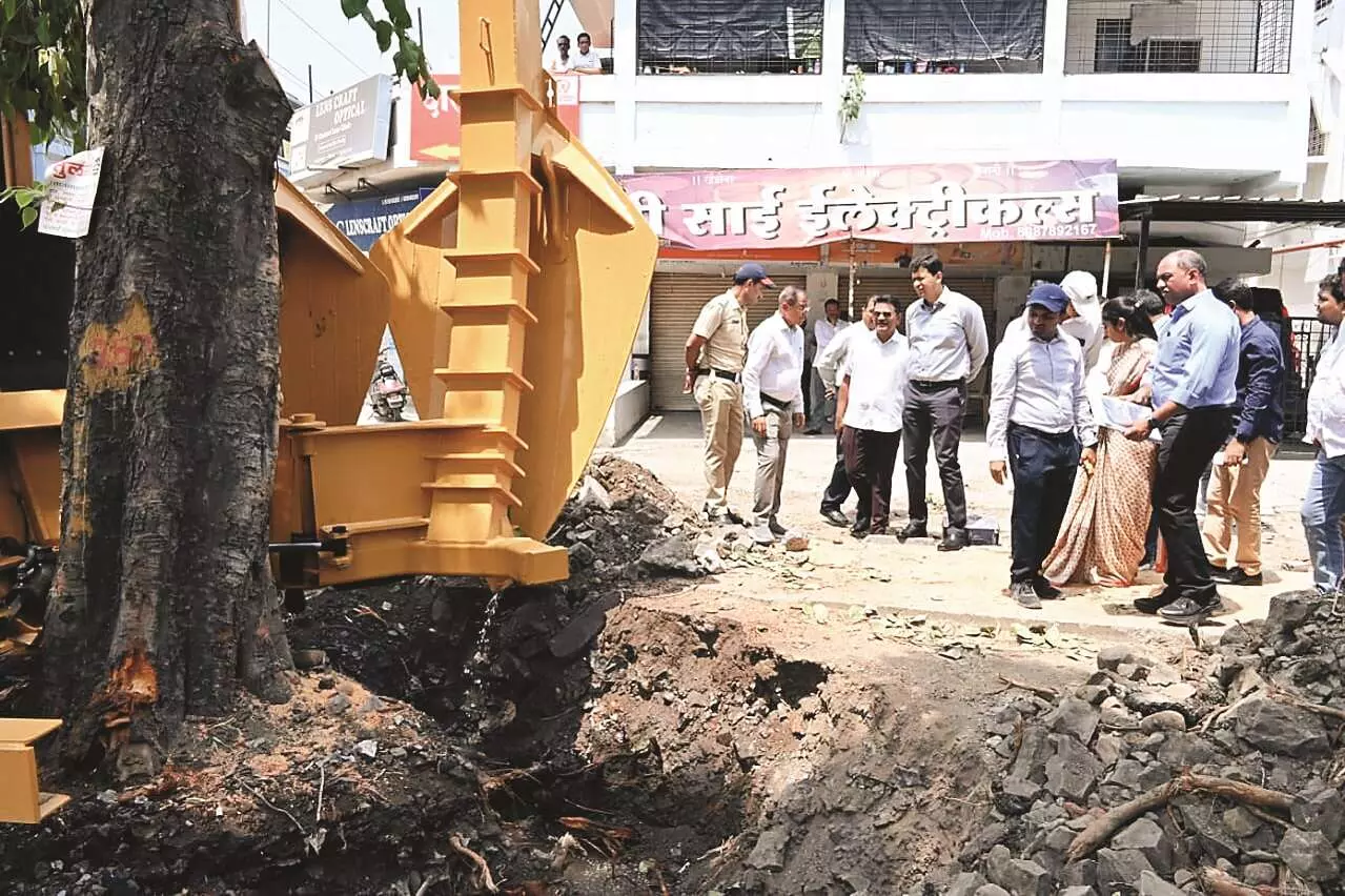 मनपा ने 84 साल पुराने हेरिटेज पेड़ का वृक्ष ट्रान्सप्लांटर मशीन से किया प्रत्यारोपण मनपा ने 84 साल पुराने हेरिटेज पेड़ का वृक्ष ट्रान्सप्लांटर मशीन से किया प्रत्यारोपण