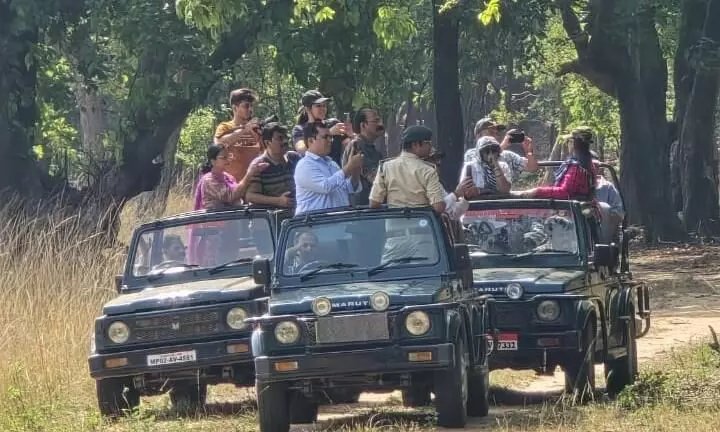 बांधवगढ़ टाइगर रिजर्व में वन अधिकारियों के परिवार सहित सफारी में टूटे नियम बांधवगढ़ टाइगर रिजर्व में वन अधिकारियों के परिवार सहित सफारी में टूटे नियम