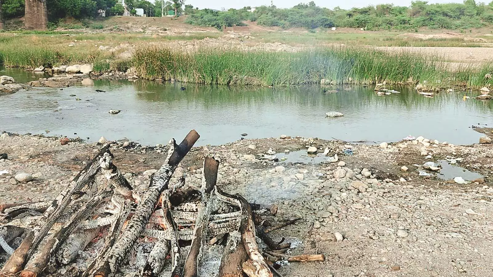युवती की चिता पर प्रेमी ने किया आत्मदाह करने का प्रयास युवती की चिता पर प्रेमी ने किया आत्मदाह करने का प्रयास