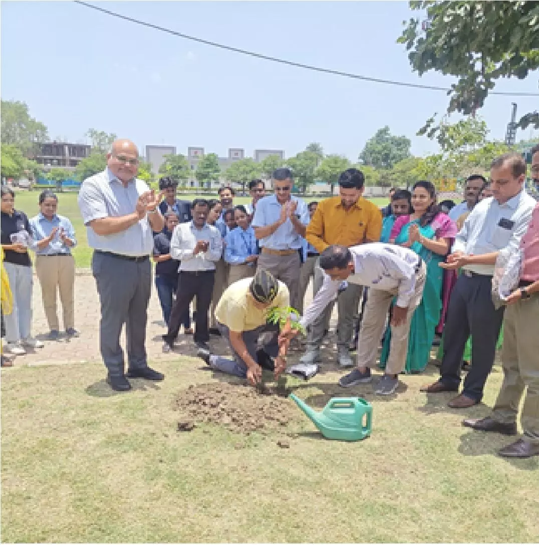 स्कोप विश्वविद्यालय के विज्ञान संकाय में मना विश्व पर्यावरण दिवस स्कोप विश्वविद्यालय के विज्ञान संकाय में मना विश्व पर्यावरण दिवस