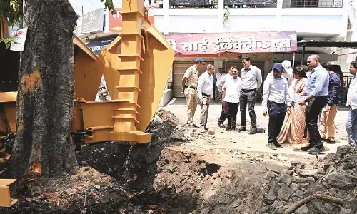 मनपा ने 84 साल पुराने हेरिटेज पेड़ का वृक्ष ट्रान्सप्लांटर मशीन से किया प्रत्यारोपण