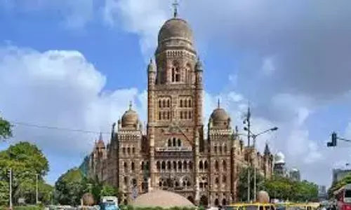 मुंबई मनपा समेत सभी निकायों में शुरू होगा वार्ड का गठन, सरकार ने जारी किए आदेश