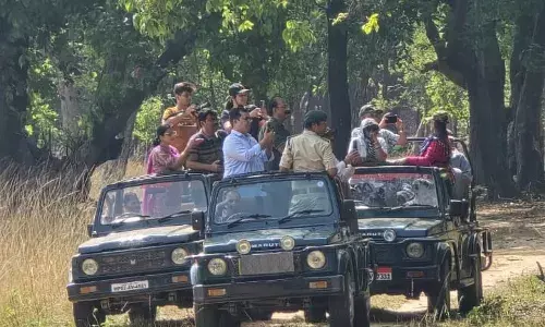 बांधवगढ़ : अधिकारियों के परिवार की सफारी में खलल पड़ा भारी, नोटिस दिया ना मांगा जवाब, वाहन और ड्राइवर का इस पूरे पर्यटन सीजन प्रवेश प्रतिबंधित