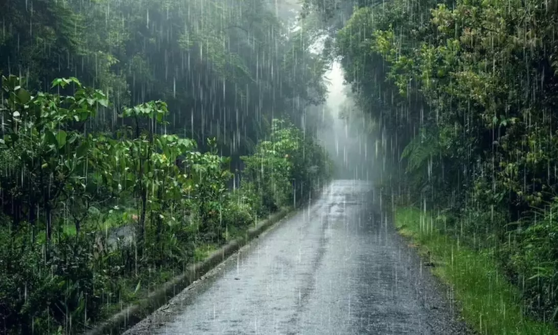 बारिश के मौसम में घूमने का कर रहे हैं प्लान, तो देश के इन पांच जगहों पर मानसून का ले सकते हैं भरपूर आनंद बारिश के मौसम में घूमने का कर रहे हैं प्लान, तो देश के इन पांच जगहों पर मानसून का ले सकते हैं भरपूर आनंद