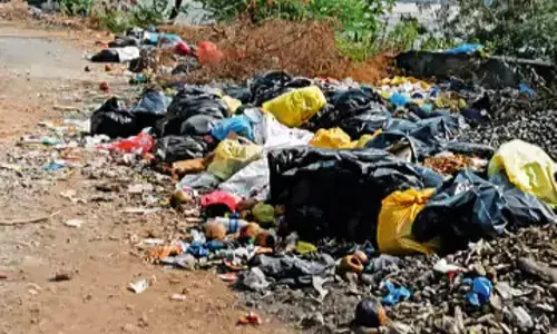 हड़ताल पर अंबाजोगाई नगर निगम के 160 सफाई कर्मचारी