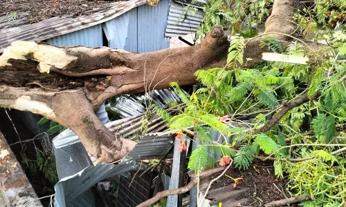 चक्रवाती बारिश के साथ तूफान से काफी नुकसान, दीवार गिरने से 75 वर्षीय बुजुर्ग की मौत
