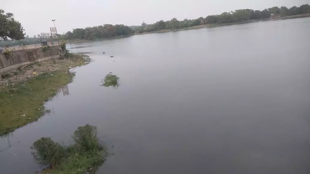 गोंदिया में पानी की कमी और गदंगी से मर रहीं रामाला तालाब की मछलियां! गोंदिया में पानी की कमी और गदंगी से मर रहीं रामाला तालाब की मछलियां!