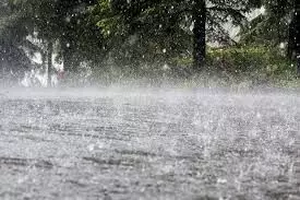 परभणी में बरसे बादल, बिजली गिरने से छात्रा की दर्दनाक मौत परभणी में बरसे बादल, बिजली गिरने से छात्रा की दर्दनाक मौत