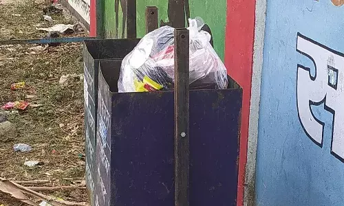 डिब्बों से कचरा उठाने नहीं पहुंचते सफाई कर्मचारी