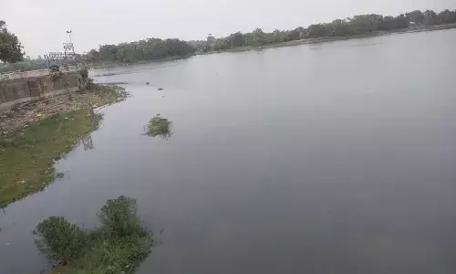 गोंदिया में पानी की कमी और गदंगी से मर रहीं रामाला तालाब की मछलियां!