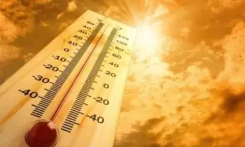 भीषण गर्मी से रखना चाहते हैं शरीर को ठंडा-ठंडा, कूल-कूल तो, अपनाएं ये आसान उपाय