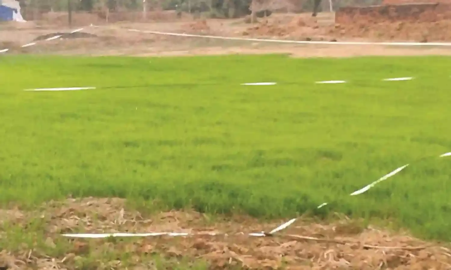 गोंदिया में बारिश से पहले ही सज गई धान नर्सरी, 20 जून से पहले हो जाएगी बुआई