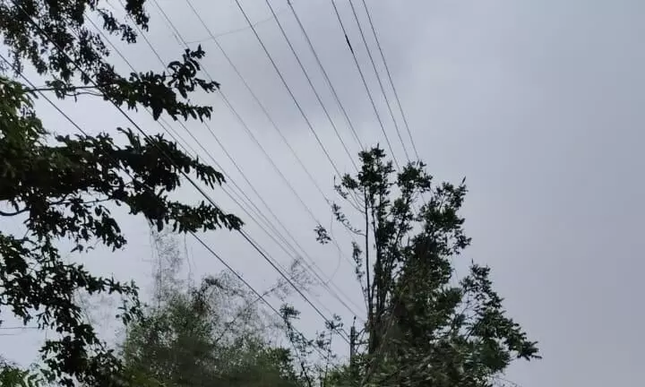 गरज चमक के साथ दो घंटे तेज बारिश, 25 से ज्यादा पेड़ गिरे, चार जगह बिजली पोल उखड़ गए गरज चमक के साथ दो घंटे तेज बारिश, 25 से ज्यादा पेड़ गिरे, चार जगह बिजली पोल उखड़ गए