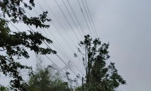 गरज चमक के साथ दो घंटे तेज बारिश, 25 से ज्यादा पेड़ गिरे, चार जगह बिजली पोल उखड़ गए