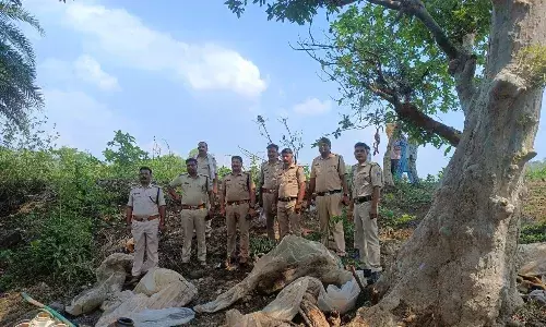 नालों में छिपा रखी थी चार लाख की महुआ लाहन, आबकारी ने नष्ट कराई