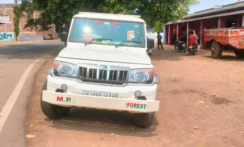 संदिग्ध पिकअप वाहन की वन क्षेत्र में आवाजाही बनी जांच का विषय