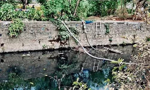 नाले के पानी से तैयार होने वाली सब्जियां हर उम्र के लोगों की इम्युनिटी कर रहीं कमजोर