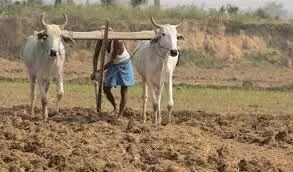 विदर्भ में मानसून ने दी दस्तक , एक-दो दिन में नागपुर पहुंचेगा विदर्भ में मानसून ने दी दस्तक , एक-दो दिन में नागपुर पहुंचेगा