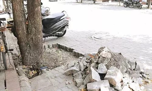 डीचोकिंग, नागपुर शहर में अब खुलकर सांस ले पा रहे हैं 550 पेड़