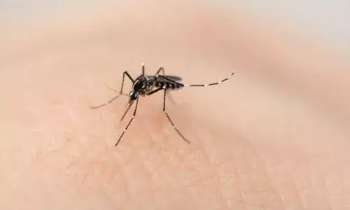 बारिश में मच्छरों से बचने के लिए फॉलो करें ये टिप्स, डेंगू-मलेरिया का खतरा हो जाएगा खत्म