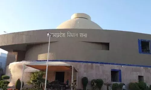 इस बार पहला पूरक बजट कम प्रावधानों वाला होगा