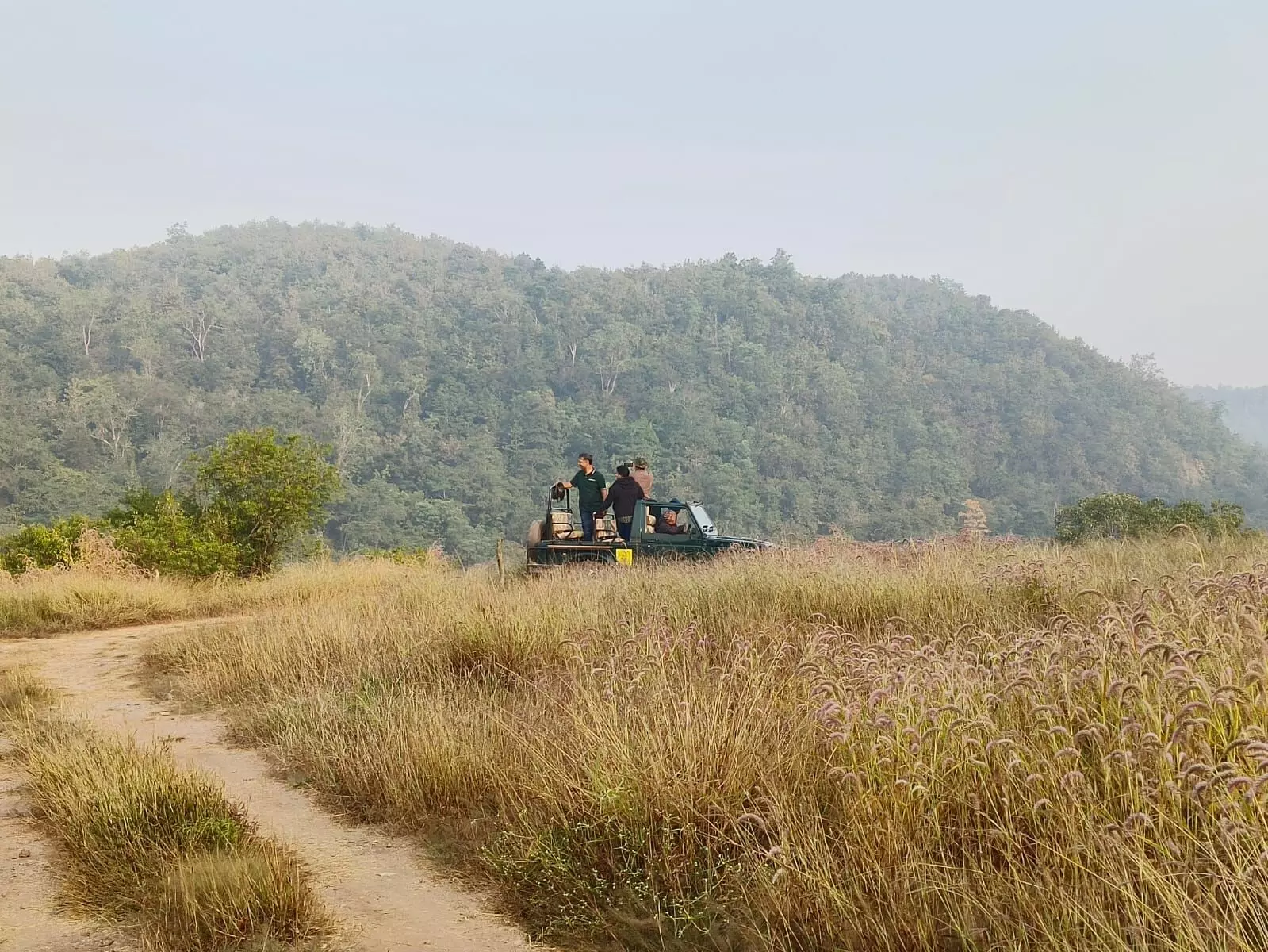 कर लो बाघों का दीदार, 1 जुलाई से होगी बंद जंगल सफारी , आ गया फरमान कर लो बाघों का दीदार, 1 जुलाई से होगी बंद जंगल सफारी , आ गया फरमान