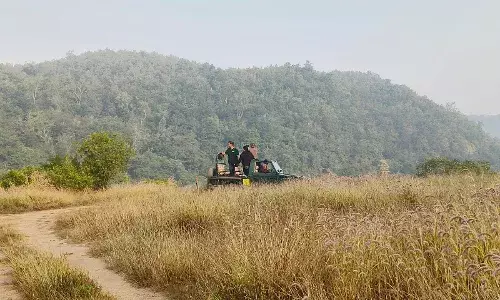 कर लो बाघों का दीदार, 1 जुलाई से होगी बंद जंगल सफारी , आ गया फरमान