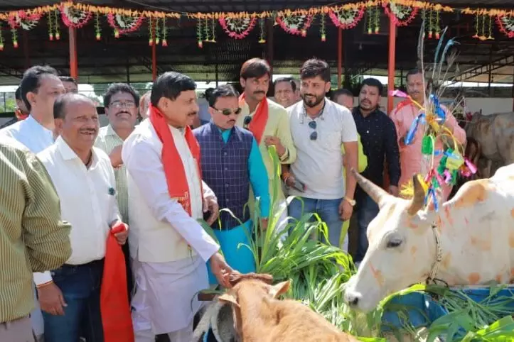 मुख्यमंत्री डॉ. यादव प्रदेश के गौ-पालक एवं गौ-शाला संचालकों से करेंगे संवाद मुख्यमंत्री डॉ. यादव प्रदेश के गौ-पालक एवं गौ-शाला संचालकों से करेंगे संवाद